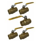 1" Female NPT, Full Port Industrial Brass Ball Valve, QTY-05