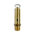 1/2" NPT, Hard Seat Safety Pressure Relief Valve, 100 PSI (Conrader)