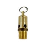 1/2" NPT, Soft Seat Safety Pressure Relief Valve, 100 PSI (Conrader)