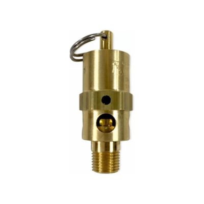 1/8" NPT, Hard Seat Safety Pressure Relief Valve, 100 PSI (Conrader)