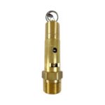 1" NPT, Hard Seat Safety Pressure Relief Valve, 200 PSI (Conrader)