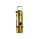 3/4" NPT, Soft Seat Safety Pressure Relief Valve, 100 PSI (Conrader)