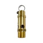 3/4" NPT, Soft Seat Safety Pressure Relief Valve ,200 PSI (Conrader)